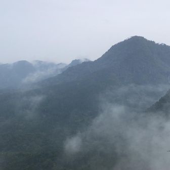 鷹の巣山頂からの眺め