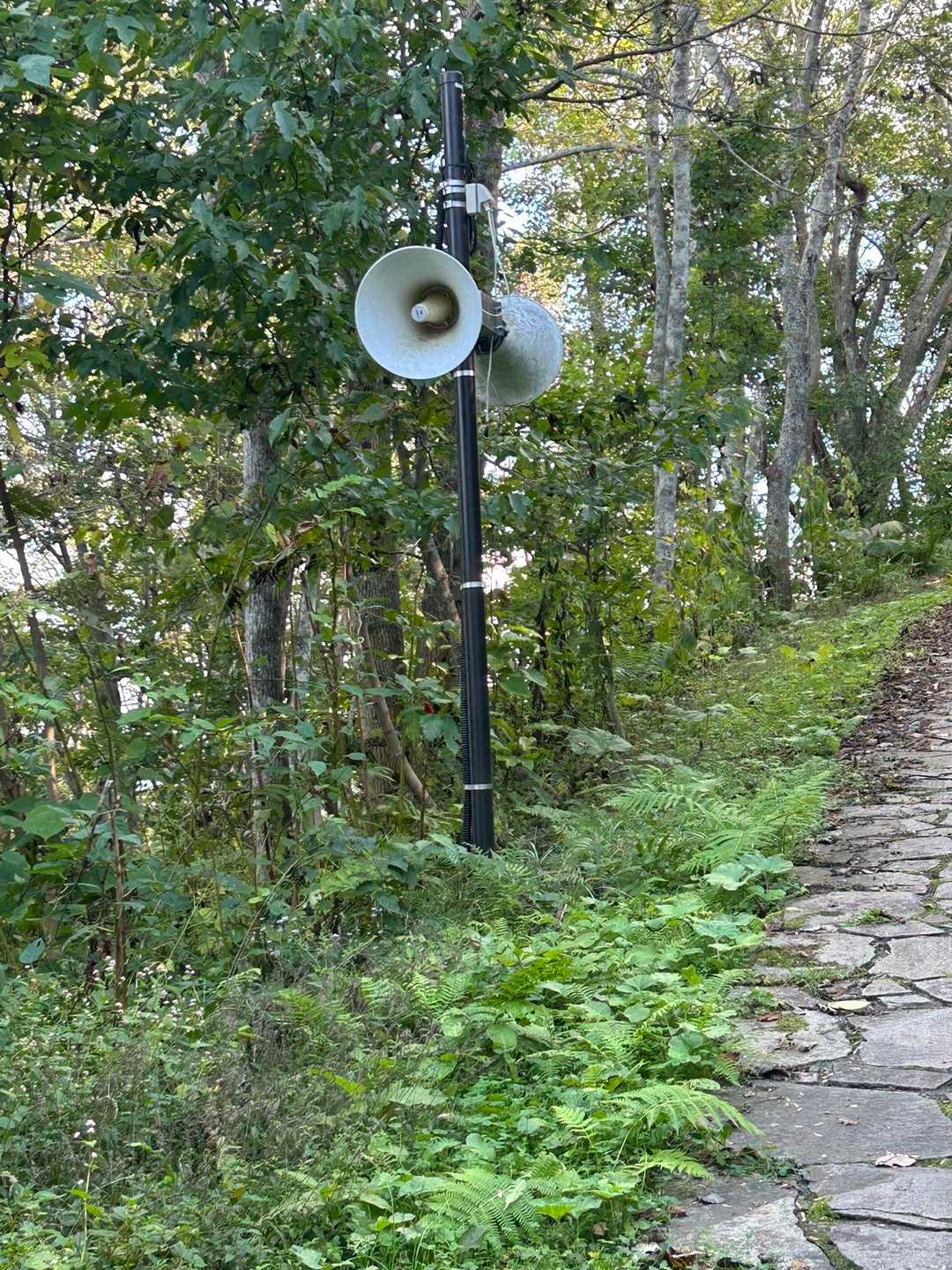 こっちからもラジオ番組📻