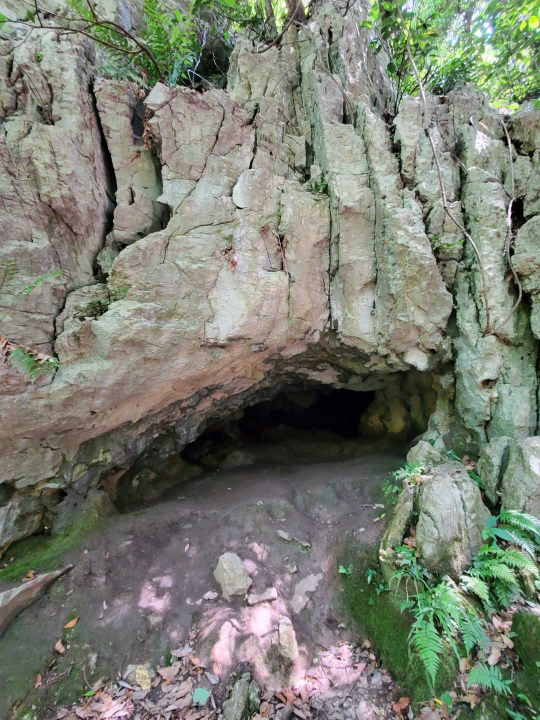 狭いけど