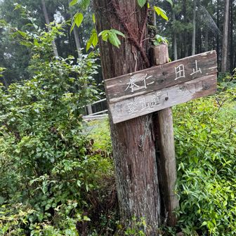 大根ノ山ノ神に到着
ここまで来ればちょっと安心