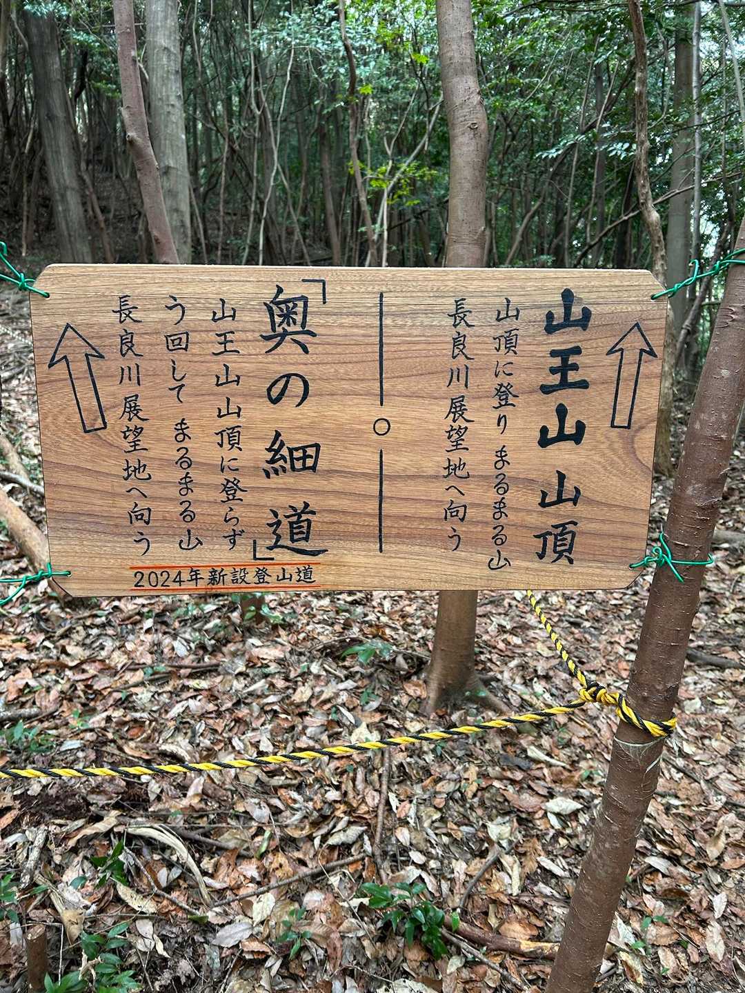 山王山 往復コースの写真