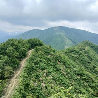 昨日の疲れもあり今日は三国山はスキップ｡巻き道で巻いて一度三国峠まで下り､また登り返して長倉山に向かう