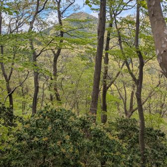 来た道をグルリと見渡す✨️