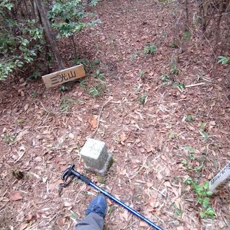 三光山に登頂 ＼(^o^)／
眺望は木立に囲まれて残念ながら (-_-)