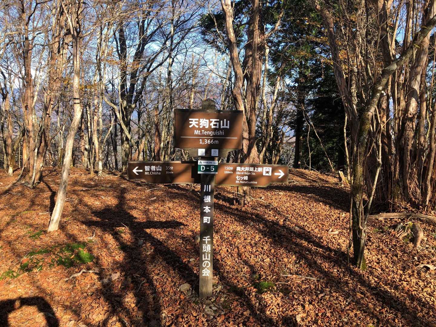 山頂に着きました〜🤣