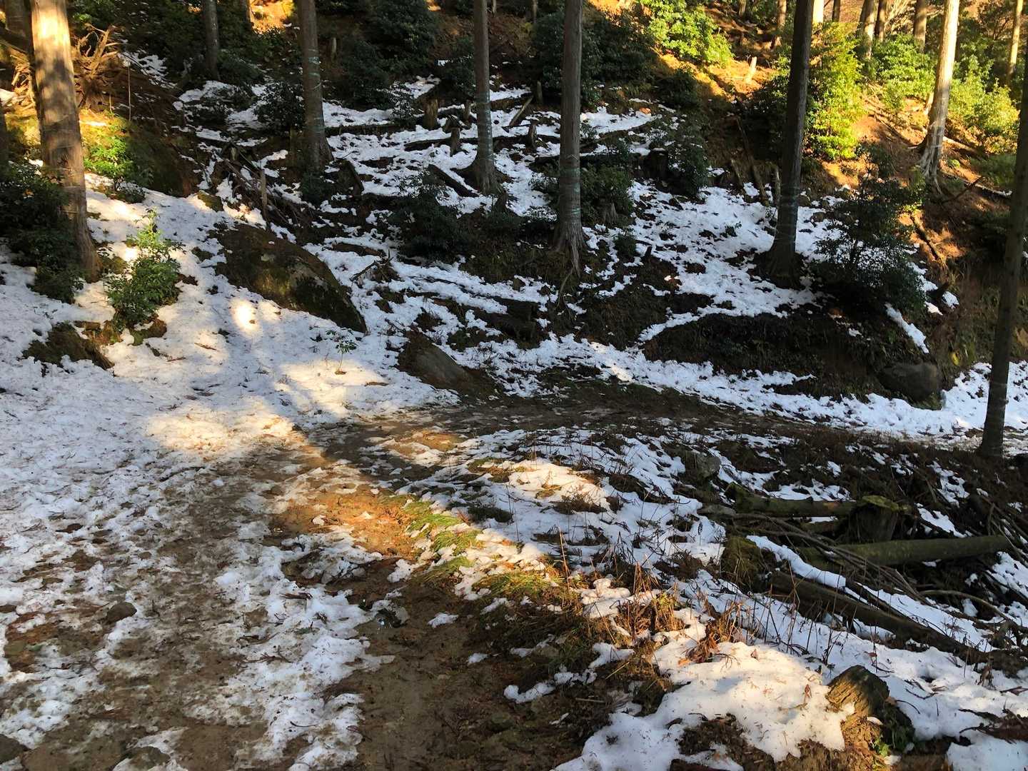霊仙山権現山登山口-権現山-ホッケ山 往復コースの写真