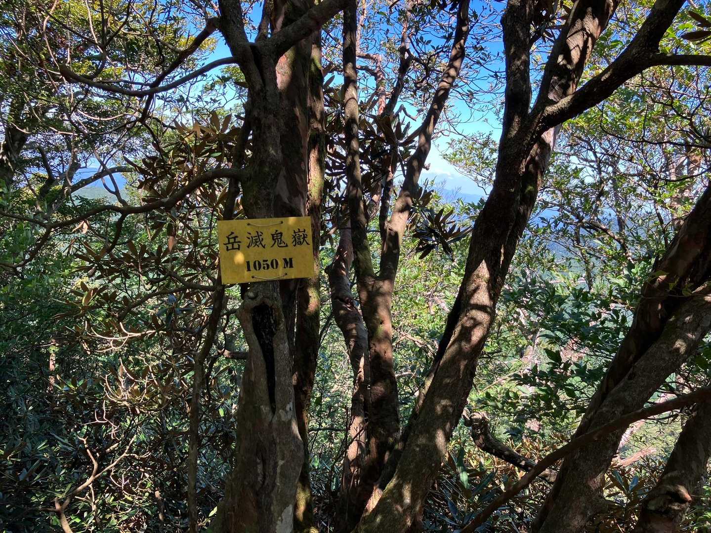 玉屋神社登山口-岳滅鬼峠-岳滅鬼岳-岳滅鬼山 往復コースの写真