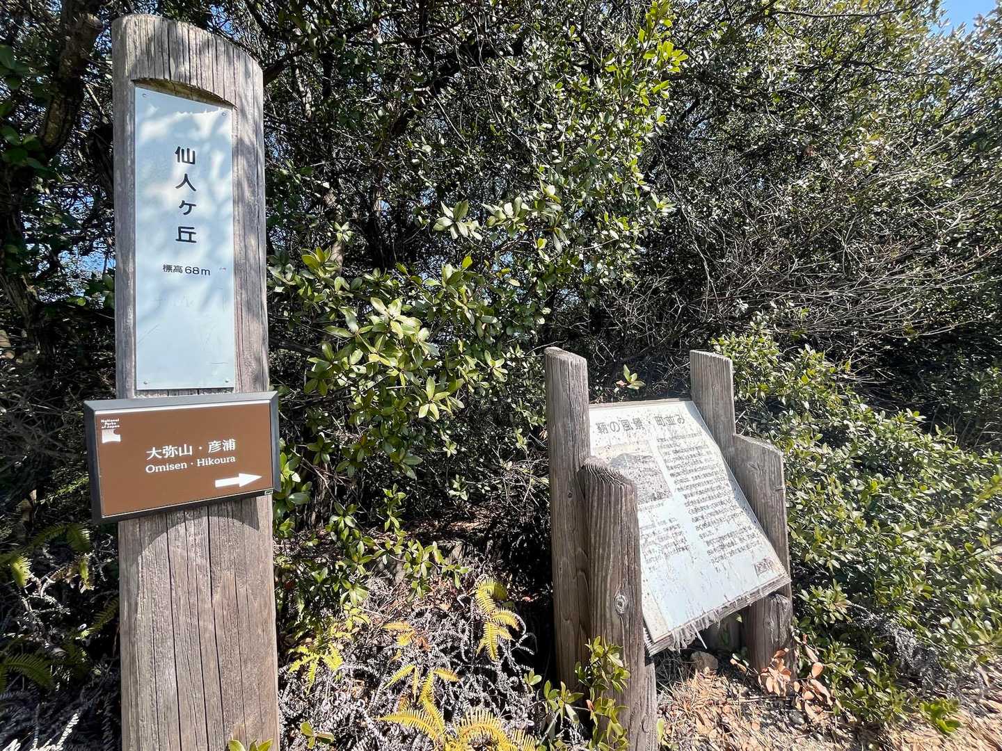 仙人ヶ丘の山頂へ到着⛰️