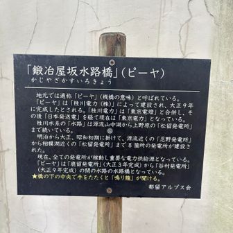 小島よしおが浮かばない人がいるだろうか