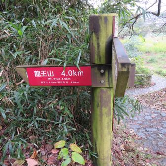 雨が降っているので登るのは止めます。