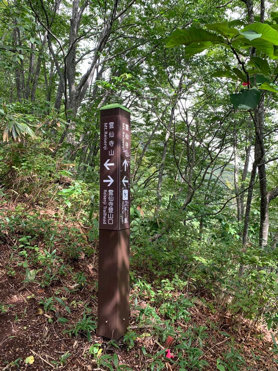 霊仙寺山 往復コースの写真