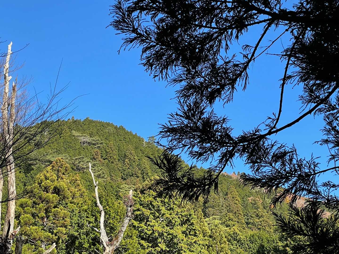 三角点のあった山，右方向が，鳶ノ巣山