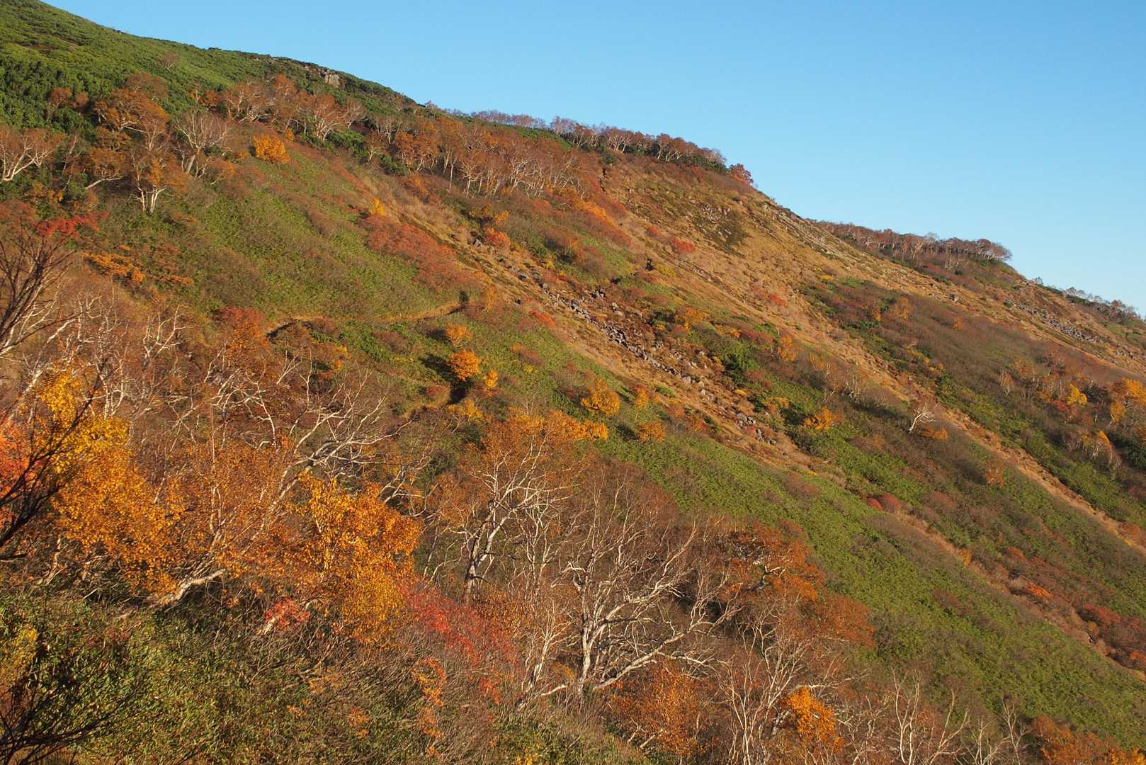 赤岳登山口-第一花園-赤岳-小泉岳 往復コースの写真