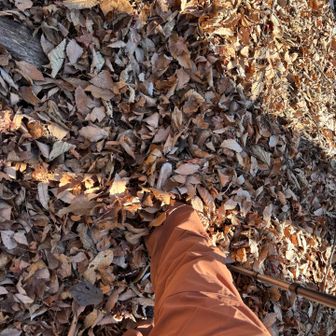 落ち葉を踏む音は好きですが、滑るし深さはわからないしで疲れます