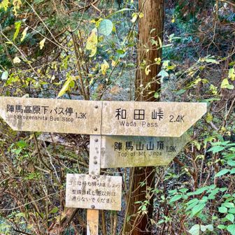 新ハイキングコース入口
ここから登山道に入ります
陣馬山山頂まで　1.9km