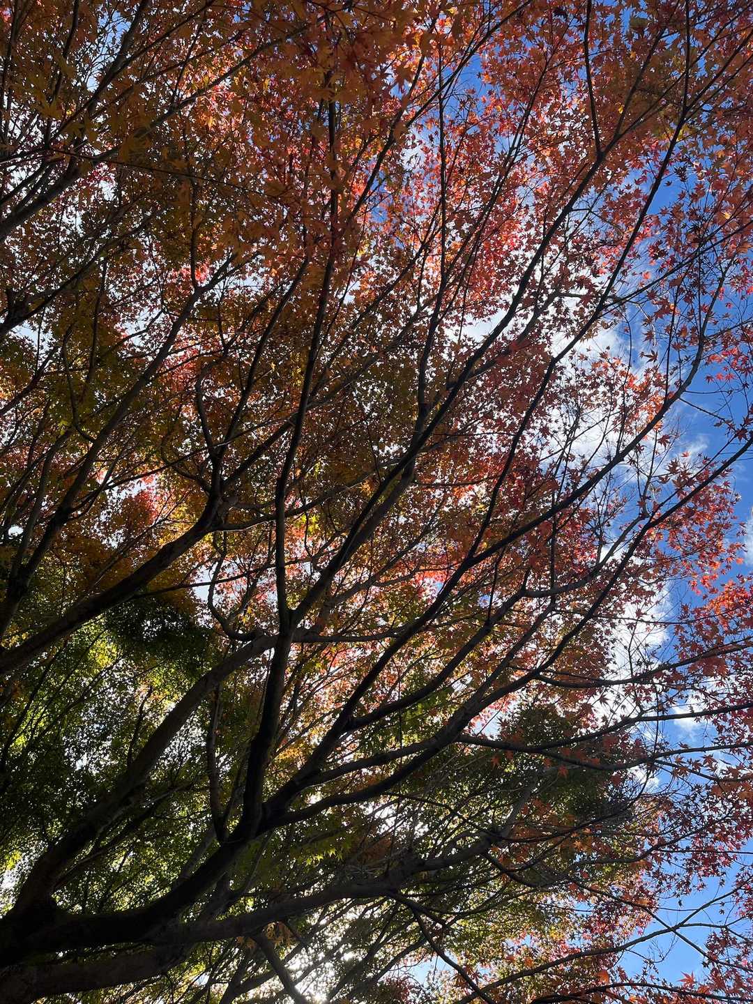 少し紅葉も見れた🍁