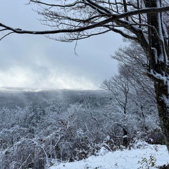 粟さん方面です^_^
オイラには粟さんがくっきり見えます👀