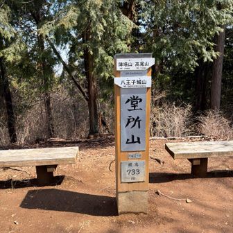 ちょっと足を伸ばして堂所山の山頂を踏んできました。バテ気味のメンバーは巻道です（トラバースともいう）