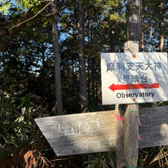 ここも絶対行くべし！