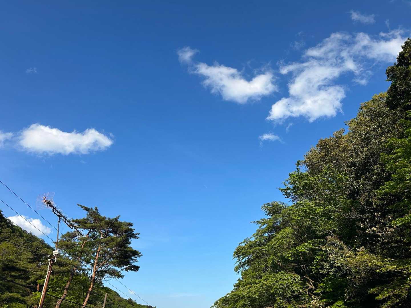 今日も天気🤗