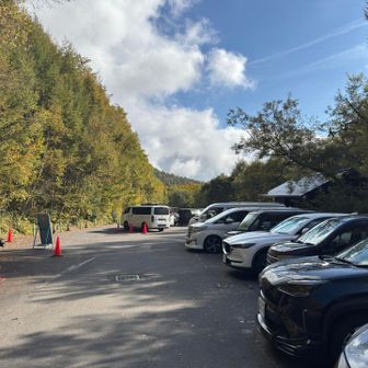 で、無事に駐車場へ🅿️
もちろん満車でした…
ベスポジに停めてくれたオフィス花さんに感謝🙏
帰り道、最初にすれ違った車の方に、1台だけ空いたと伝えました😊