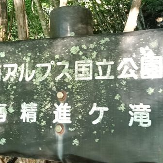 どれどれ…
