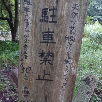 ※無断🅿️に注意⚠️