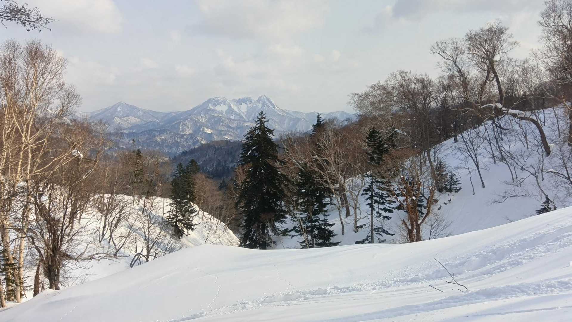 雪はしっかり締まってました。