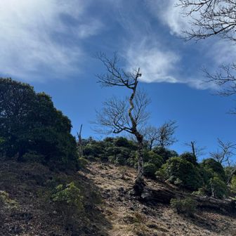 小さな
登りと下りを
繰り返し