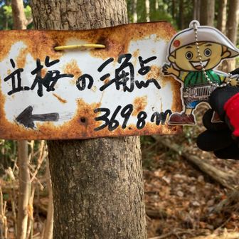 こんなのもあるが|･ω･*)？