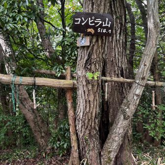 ⑥ 金毘羅山