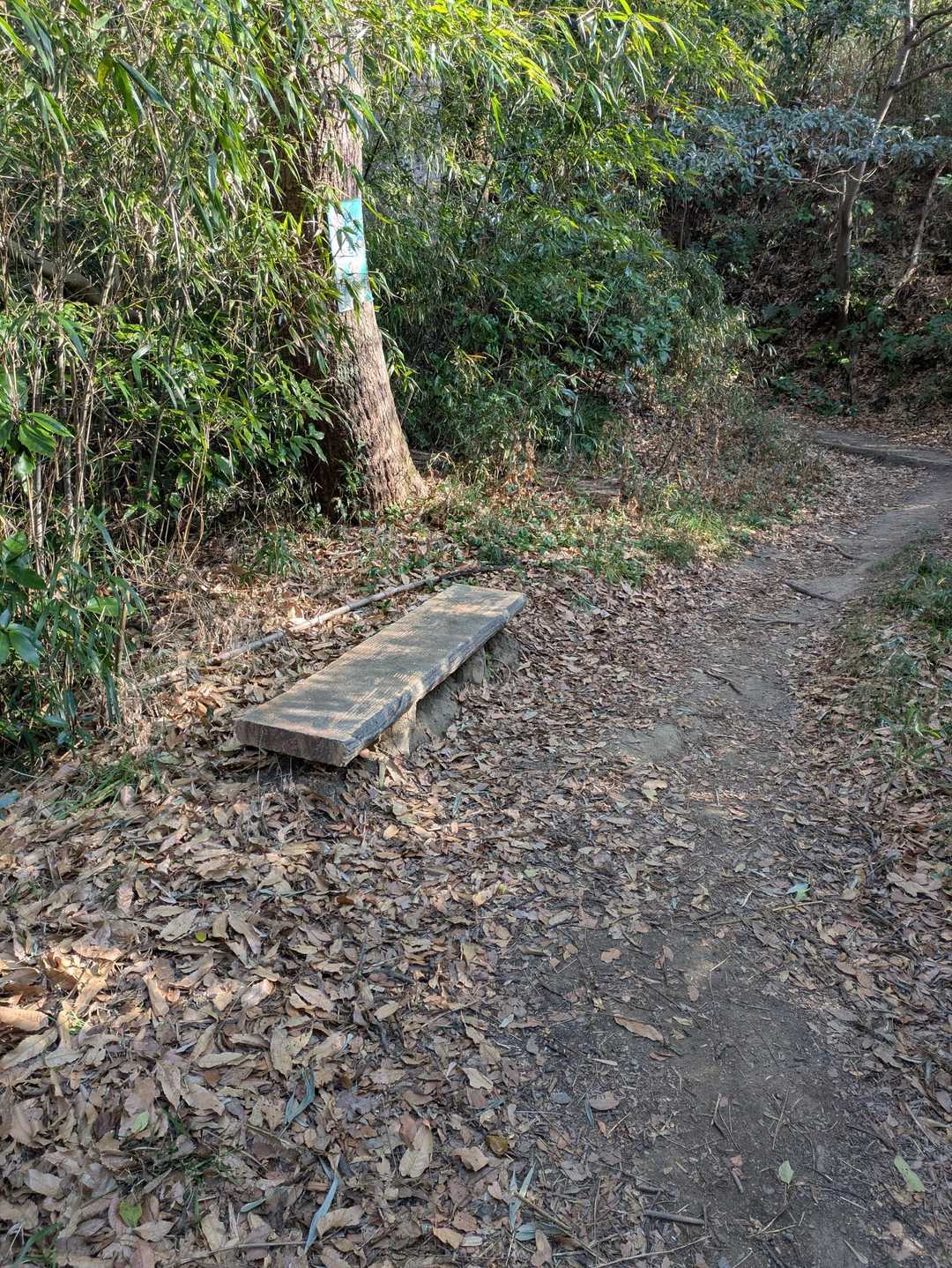 第二ベンチ(これも私が勝手に命名)