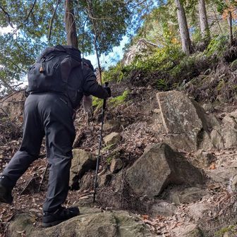 結構な急登です