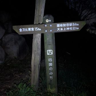 夜の山は緊張する
猪でるらしいし・・・