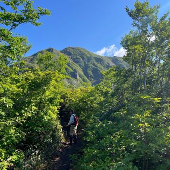 山頂が見えた