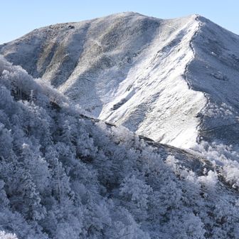 あ❗️そうだ
今日は次郎も行くんだった😅