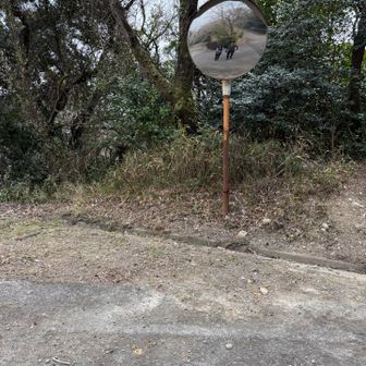 ミラーショット📸