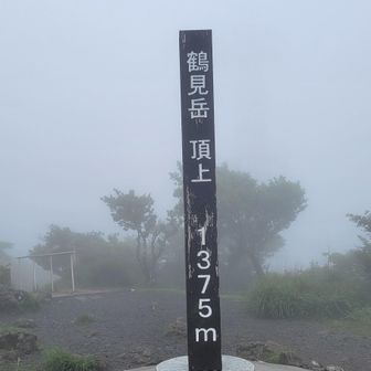 一気登山達成🙌
眺望なーし！Goddamn!!
脳内でCLAN QUEENのAPPLEが鳴り響きます🎶
