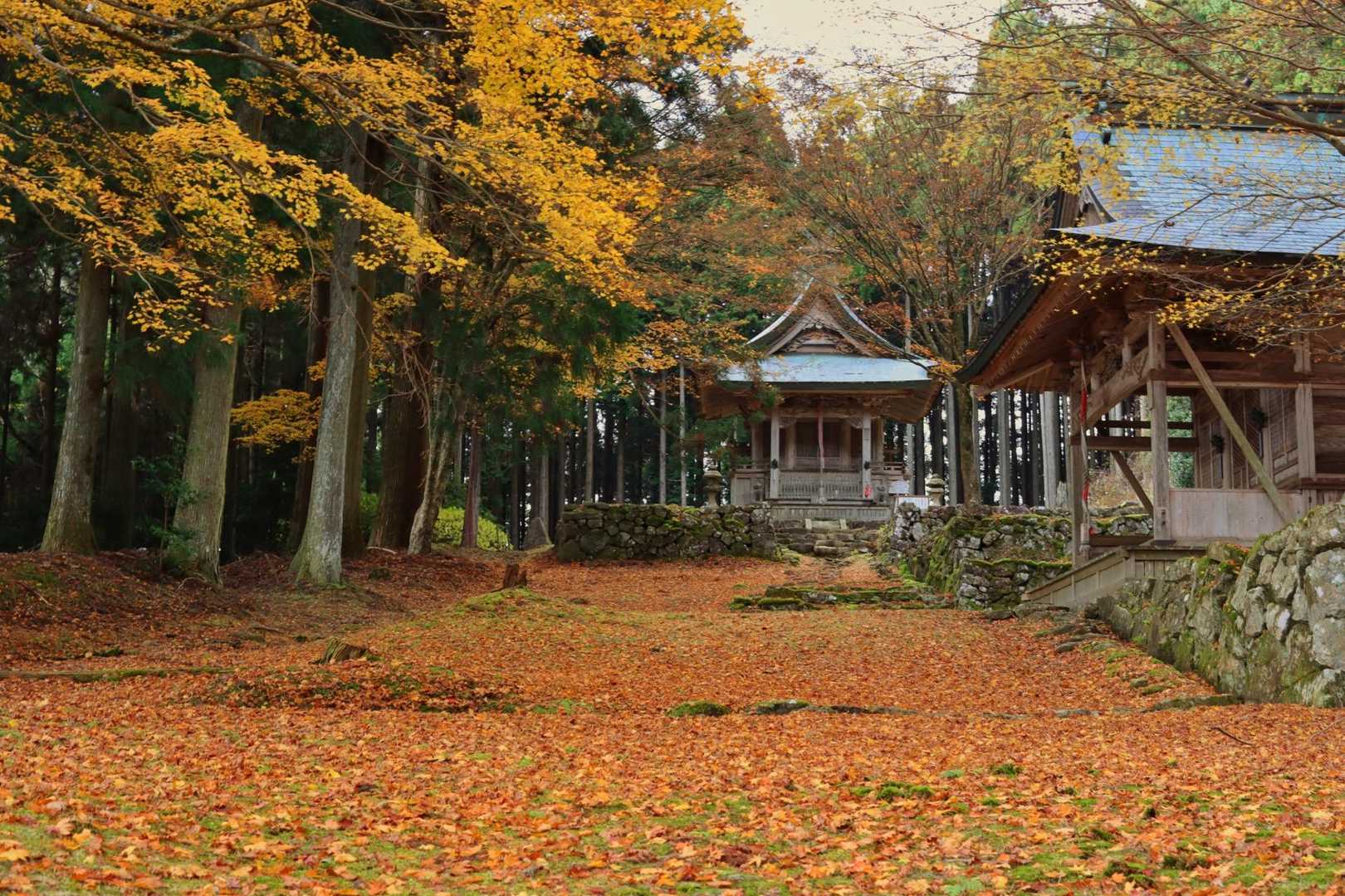 晩秋の雰囲気🍂