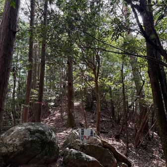南側登山口下山は、左側となってますが、
真っ正面↑にピンクのテープ側になりそこから左側に下る事になります😱