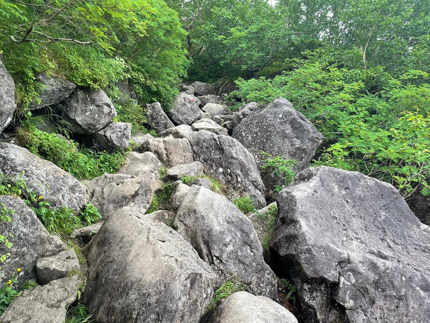 ますます巨大な岩ゴロ地獄꒰ঌ( ´ ཫ ` )໒꒱

でも、なんとなく男体山の岩岩に似てるな
修行の成果が出そうな雰囲気( *ˊꇴˋ)ｱﾊｯ