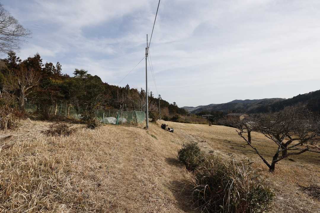 日和田山・高指山・物見山・横手山 の写真 14