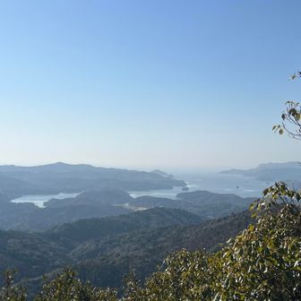 こちらもなかなかです👍