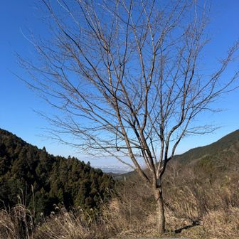 天気いい~~✨✨