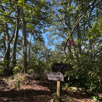 分岐です！
私は山頂までの最短コースで歩いてます