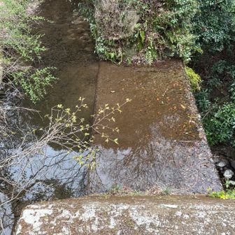 ここからお宝山に向かいましたが、ひたすら怖い道のりでした