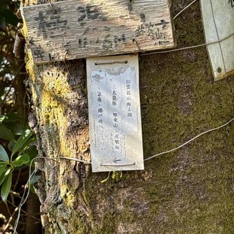 ここでようやく昼食。