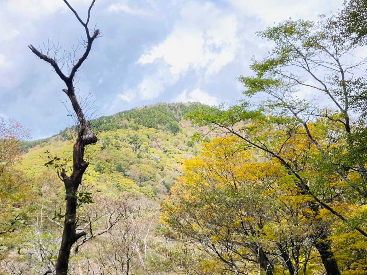 丸笹山の写真