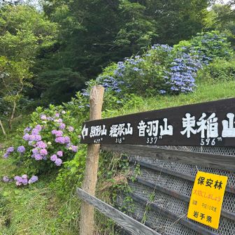 レッツゴー