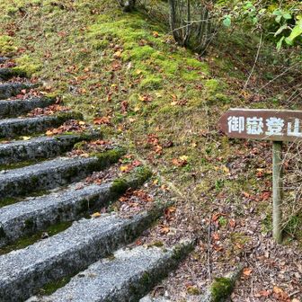 ここからがメイン